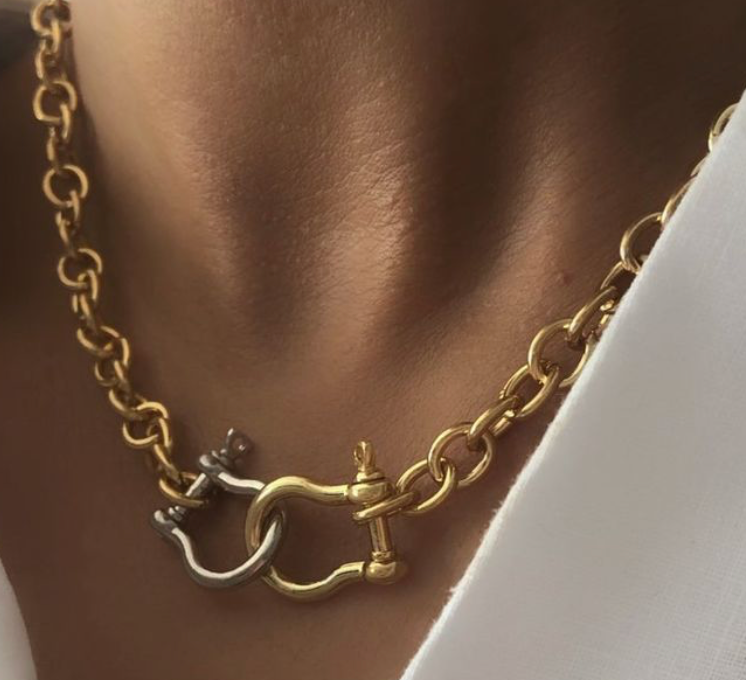 Giddy Up Rodeo Two Tone Hose Bit Shackle  Necklace