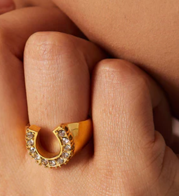 Lucky Horse Shoe- Steel and CZ 14K gold: 6