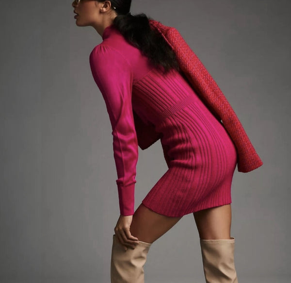 Antropologie Turtleneck Knit Dress Size Small/Medium