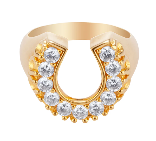 Lucky Horse Shoe- Steel and CZ 14K gold: 6