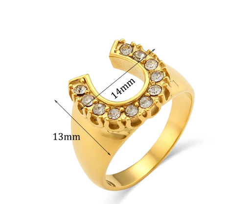 Lucky Horse Shoe- Steel and CZ 14K gold: 6