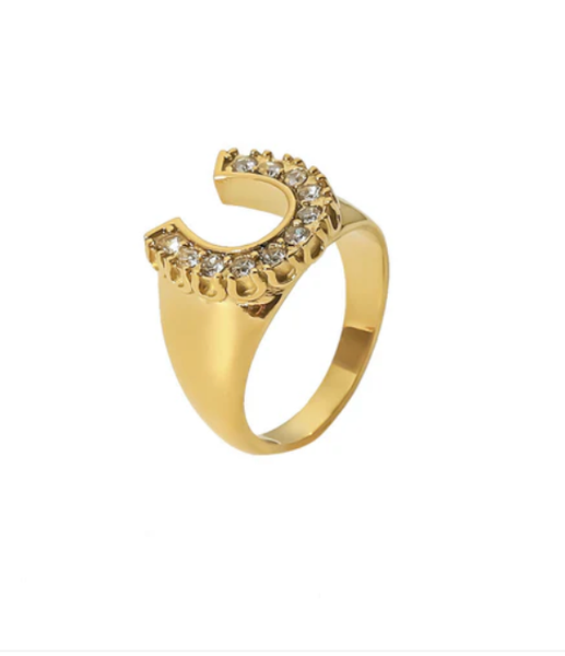 Lucky Horse Shoe- Steel and CZ 14K gold: 6