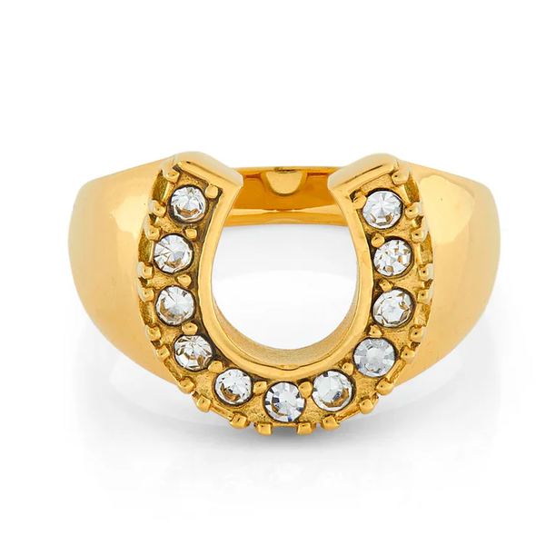 Lucky Horse Shoe- Steel and CZ 14K gold: 6