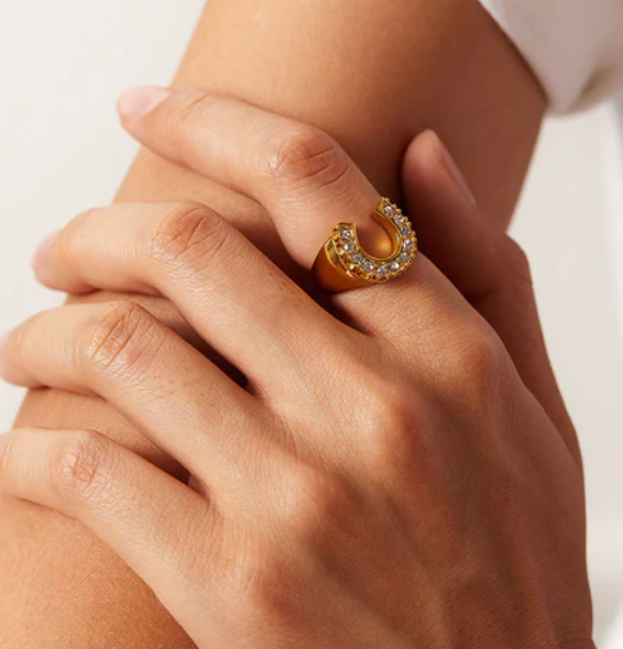 Lucky Horse Shoe- Steel and CZ 14K gold: 6