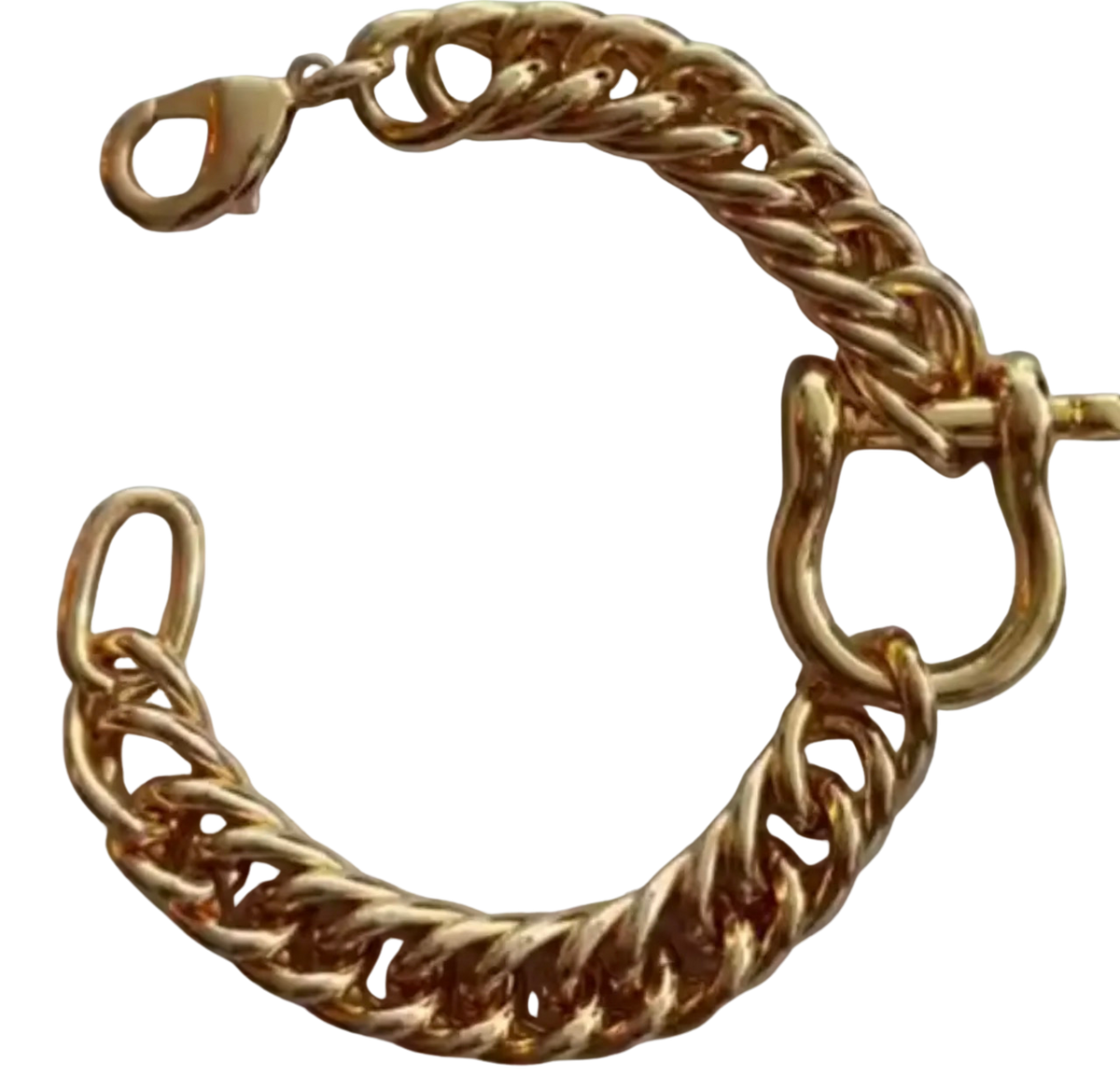 Horse Bit Carabiner Cuban Bracelet- Equestrian Steel: Yellow Gold
