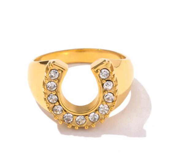 Lucky Horse Shoe- Steel and CZ 14K gold: 6