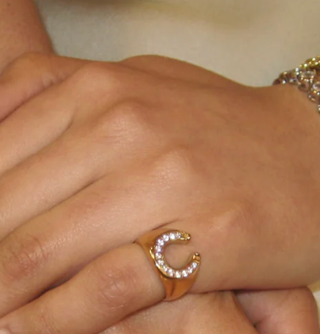 Lucky Horse Shoe- Steel and CZ 14K gold: 6
