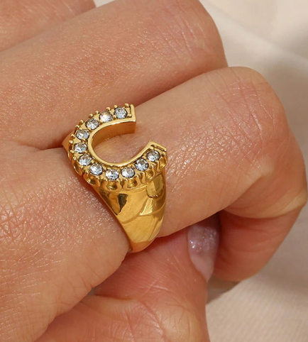 Lucky Horse Shoe- Steel and CZ 14K gold: 6