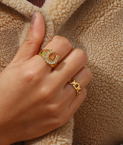 Lucky Horse Shoe- Steel and CZ 14K gold: 6