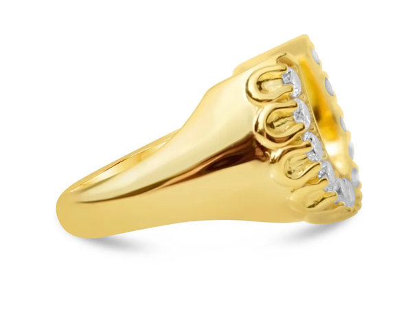Lucky Horse Shoe- Steel and CZ 14K gold: 6