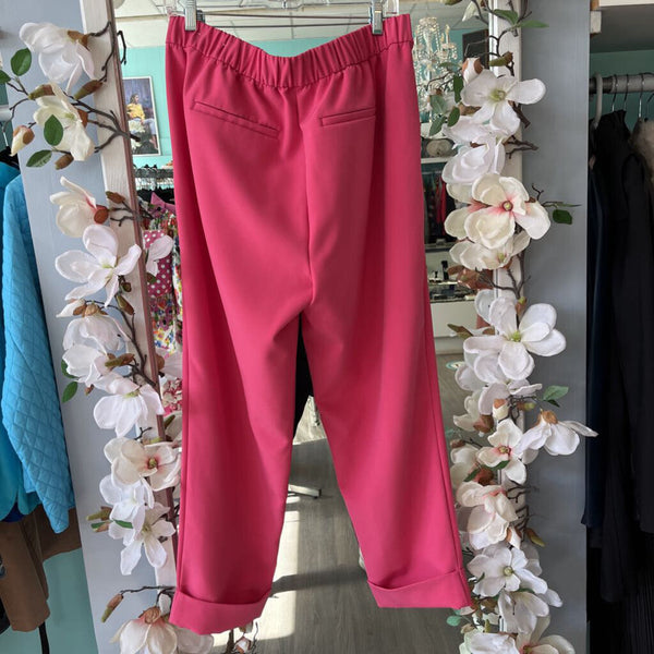 *Ann Taylor pink pants size large