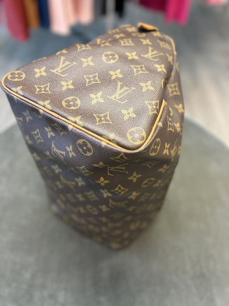 Louis Vuitton Speedy 35